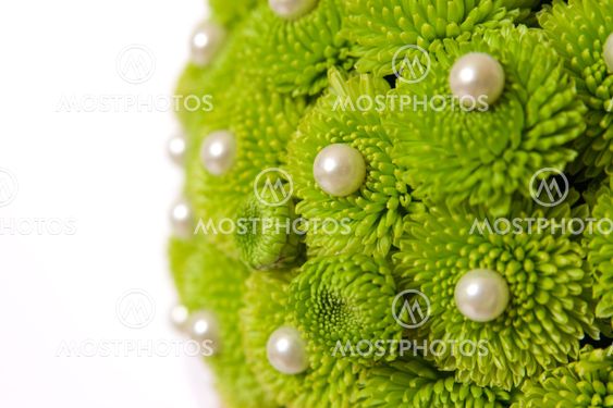 Chrysanthemum with pearls