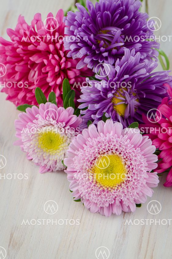 Homegrown fall garden flowers