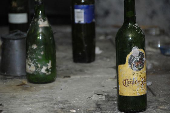 Festen i grottan