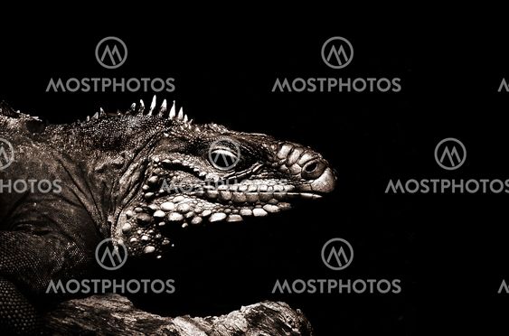 jurassic