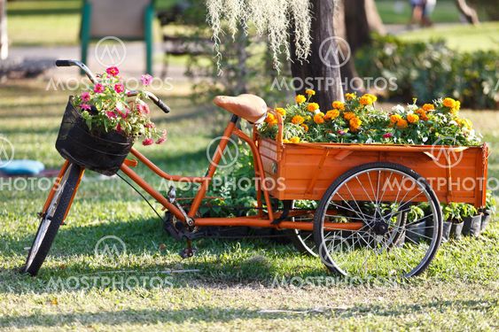 Beautiful floral bouquet on the bicycle