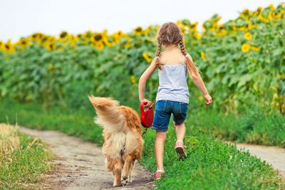 Little girl with golden retriever