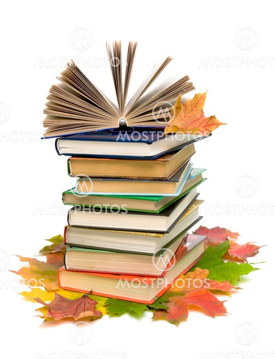 open book on a pile of books closeup and autumn maple leaves on white background