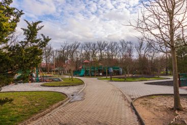 Early spring park in New Jersey with leafless trees, 
