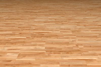 background birch flooring