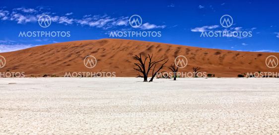 panoramic of dead trees in front of a orange dune in deadvlei namib naukluft national park namibia