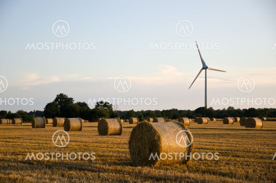 Renewable energy symbolized by straw bales and a windmill