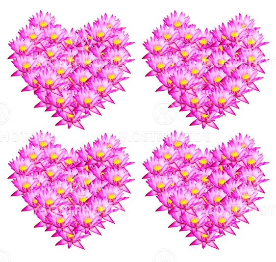 Four Heart