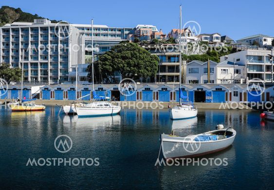 Oriental Bay marina