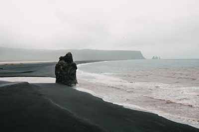 beautiful seacoast with black sand and cliff at foggy...