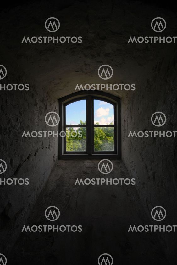 A window to the world