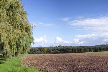 Agriculture, nature and farm in countryside, sky and...