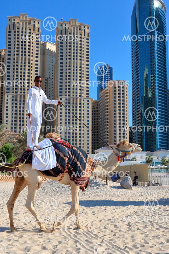 man riding a camel on the beach