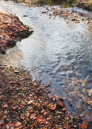 View of a forest river flowing through rocky terrain...