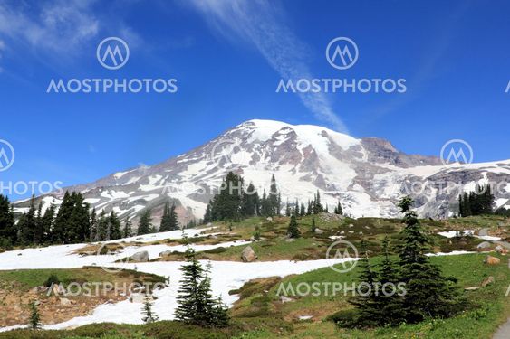 Mt. Rainier