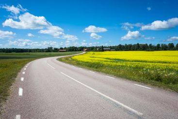 Rural landscape of Scandinavia, Yellow field, empty road,...