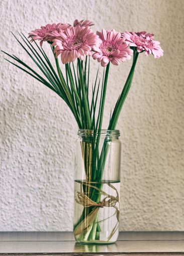 Bouquet, daisy and growth in vase at house for gift...