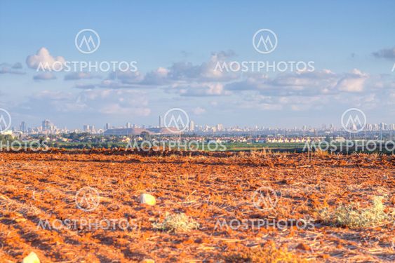 Country landscape