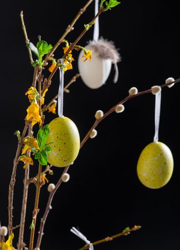 willow and forsythia branches with easter eggs