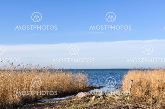 Beautiful day in spring season by the coast