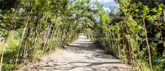 Boboli Gardens