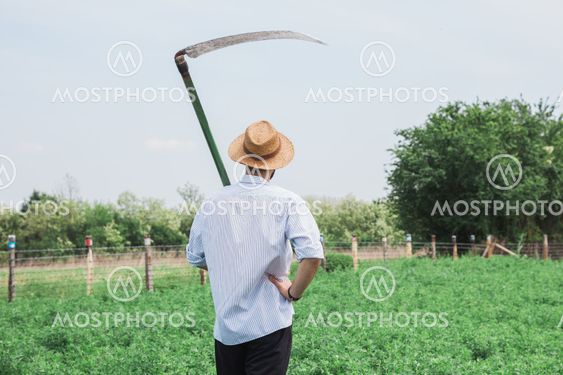 Worker with a scythe in the field
