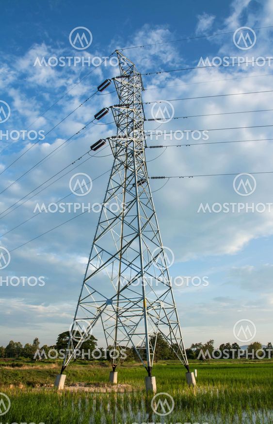 High voltage pylon in paddy