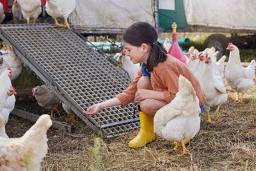 Girl, child and chicken with feeding, farm and grain in...