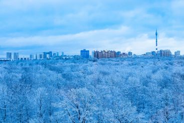 city park and urban houses in blue winter dusk