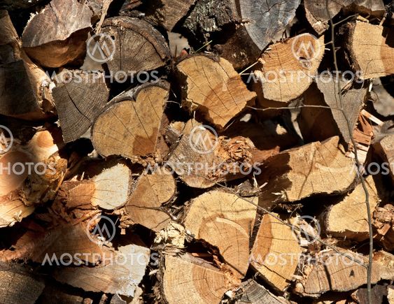 Wood Pile