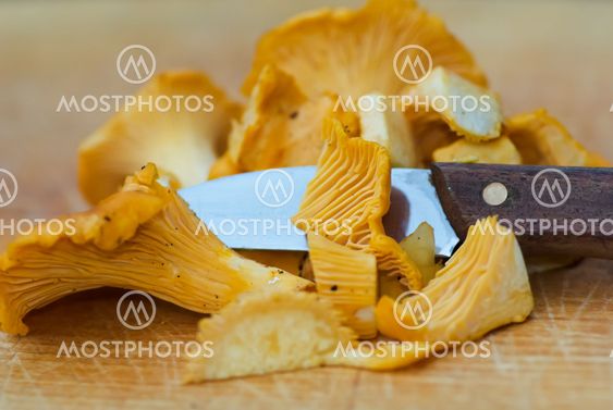 Chanterelle