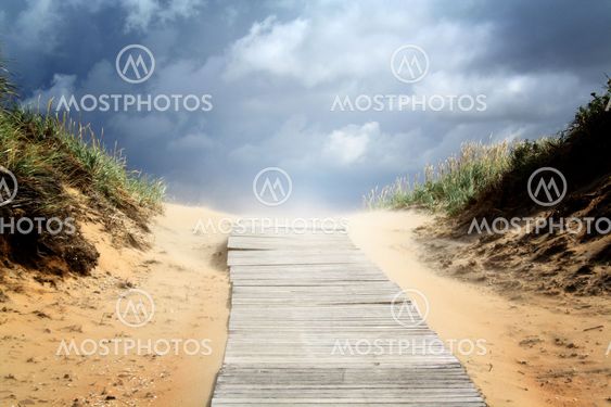 Path to summer