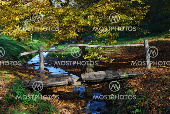Wooden bridge and stream