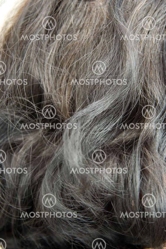 Woman grey hair