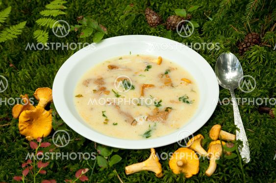 mushroom soup