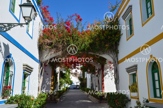 Colorful alley blossom at Gran Canaria, Spain