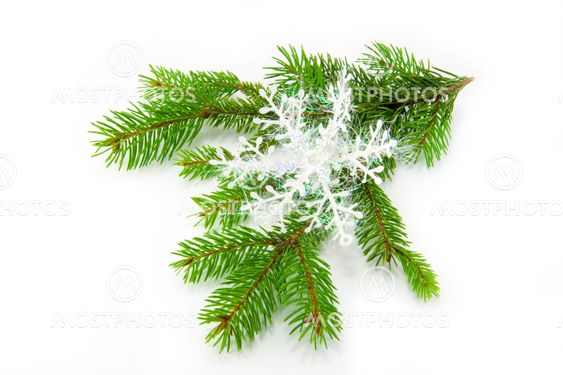 Beautiful Christmas decorations