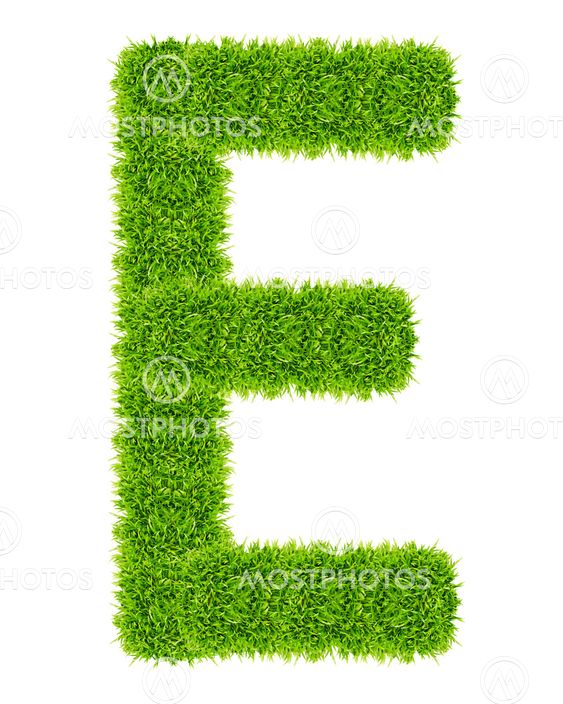 green grass letter E Isolated