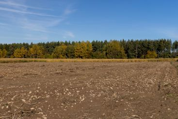 preparation of soil in the autumn season for spring sowing