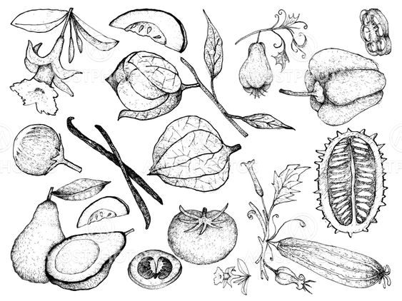 Hand Drawn of Gourd and Squash Fruits