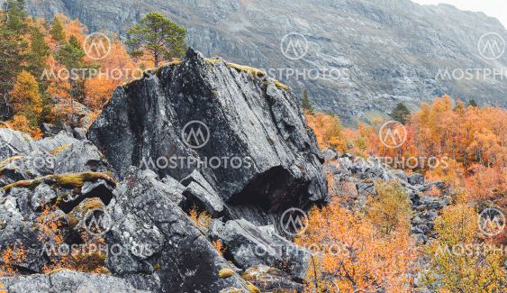 Big rock in autumn colored forest