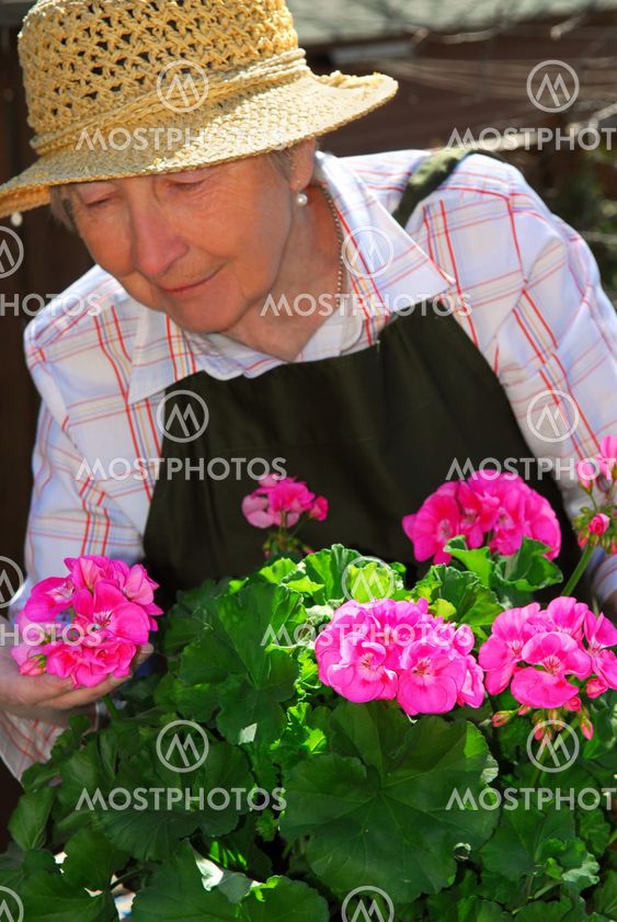 Senior woman gardening