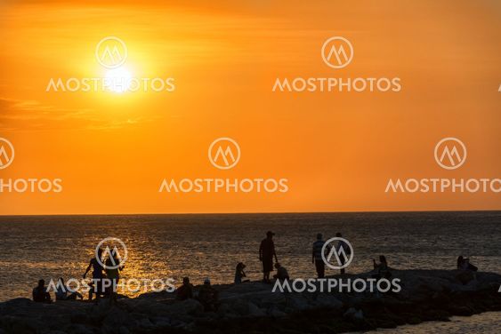 Sunset Silhouettes