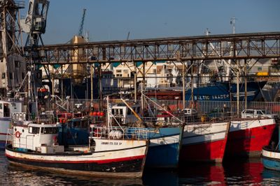 Fishing boats in Cape Town Harbor