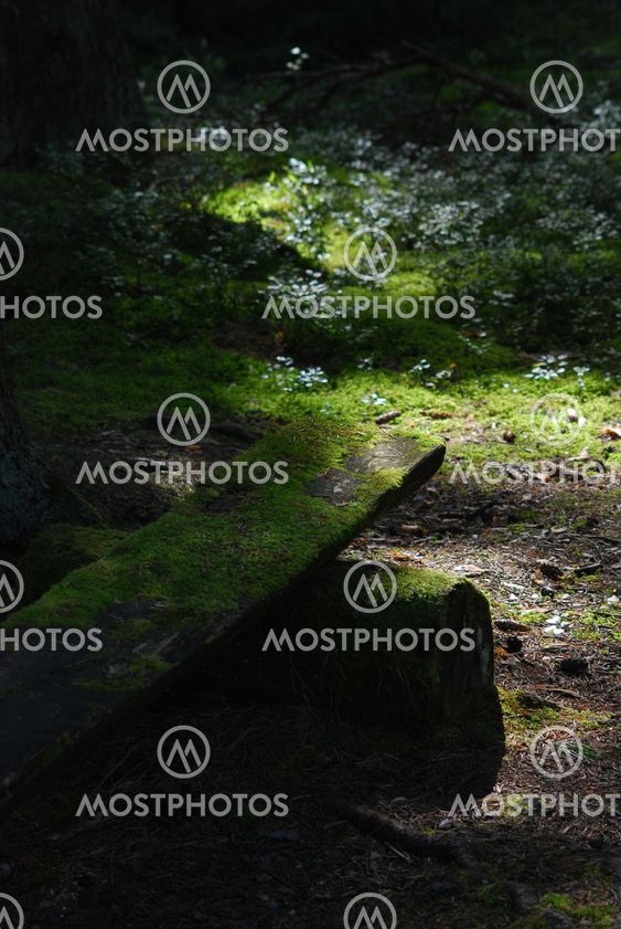 Mossbäklädd bänk