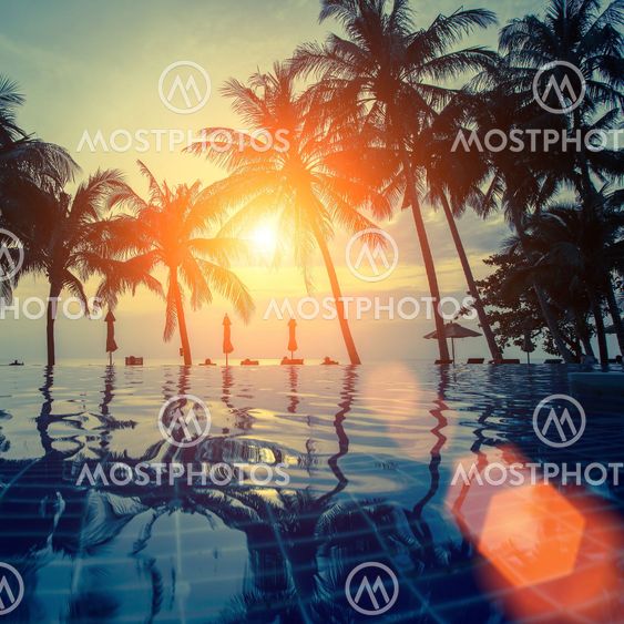 Silhouette of palm trees and the reflection in the pool...