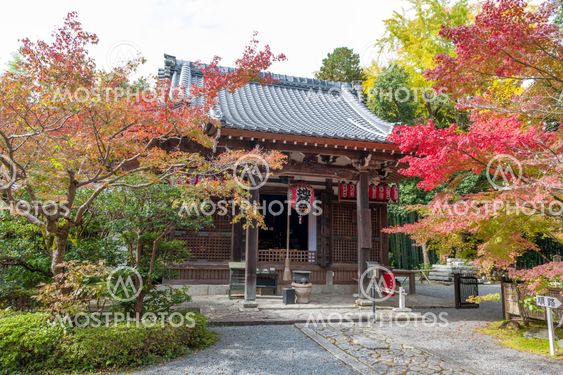Kyoto, Japan - November 2016: Sekizan Zen-in, Japanese temple in Kyoto during autumn