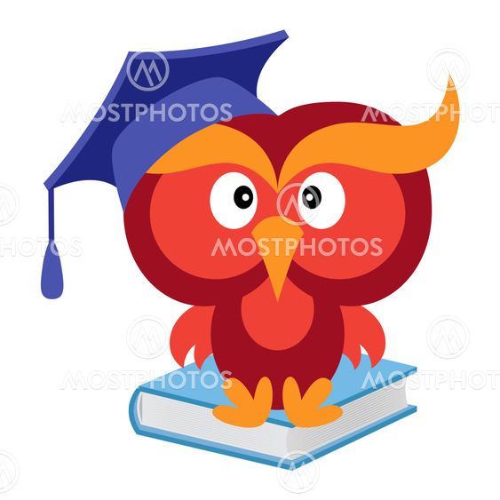 Big funny wise owl sitting on the blue book