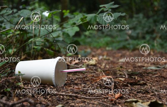 Discarded drinks container lying at the edge of a forest...