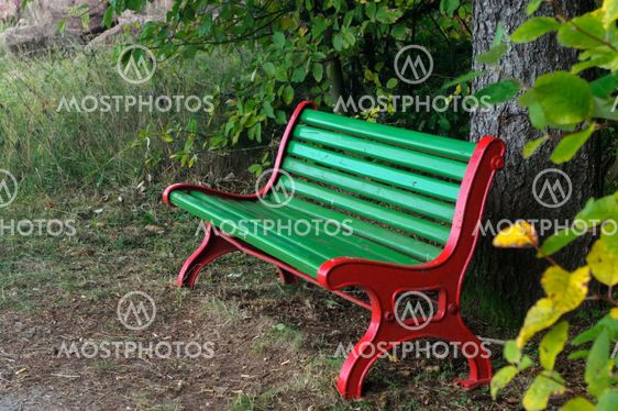 Wooden park bench under trees in the forest